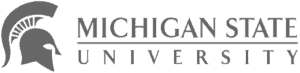 Michigan-State-University.png