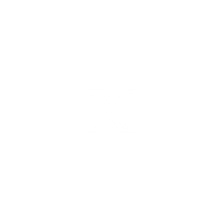 Innodata-Customer-X-Twitter-Logo-Icon