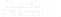 Asset 81