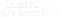 Asset 81